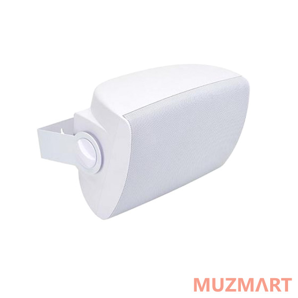 Cloud Electronics CS-S4W Настенный громкоговоритель