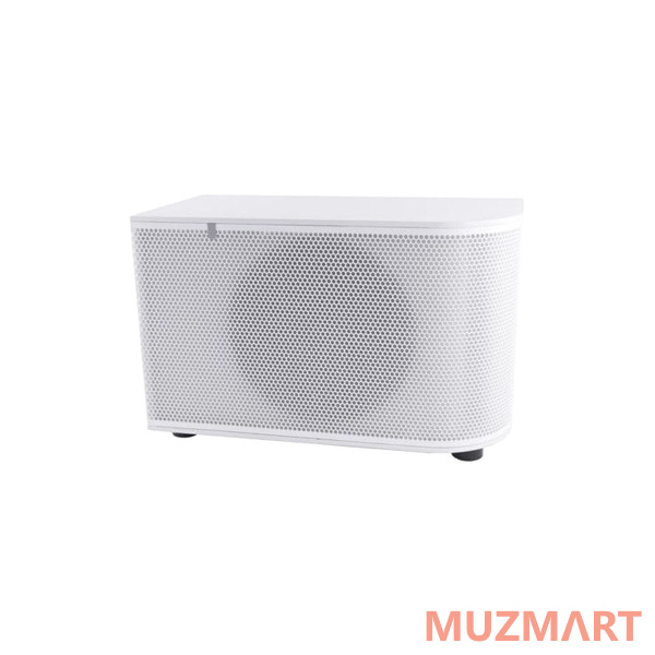 Cloud Electronics Cloud CS-SUB8W Пассивный сабвуфер 8"