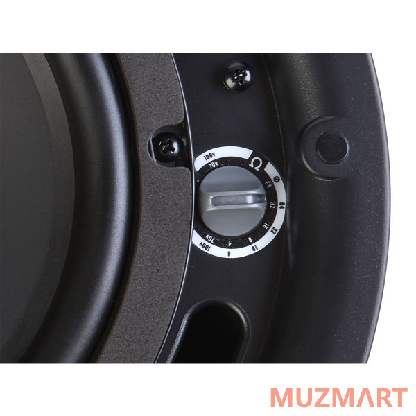 Cloud Electronics CS-C8W 8-дюймовый потолочный громкоговоритель