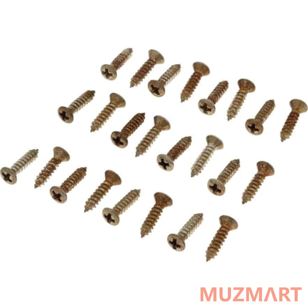 Fender RDWRN PKGRD/CNTRL PLATE SCREWS (24) Набор винтов