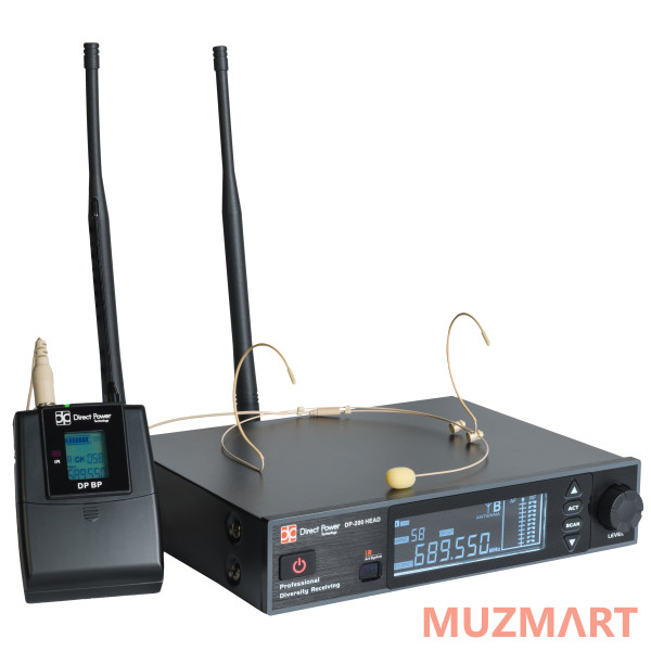 Direct Power Technology DP-200 HEAD Радиосистема головная
