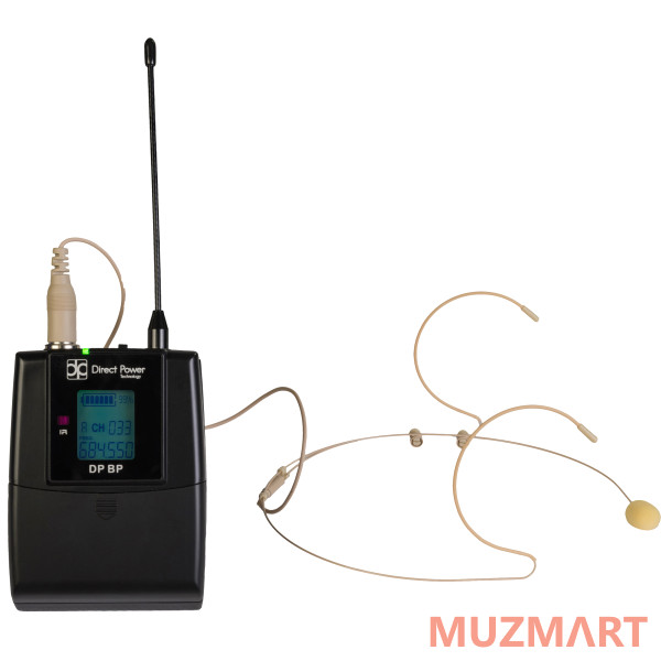 Direct Power Technology DP-200 HEAD Радиосистема головная