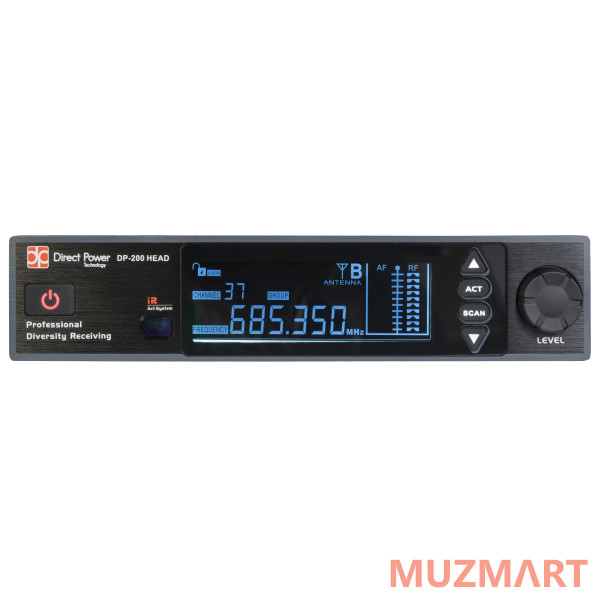 Direct Power Technology DP-200 HEAD Радиосистема головная