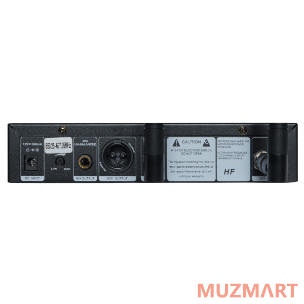 Direct Power Technology DP-200 HEAD Радиосистема головная