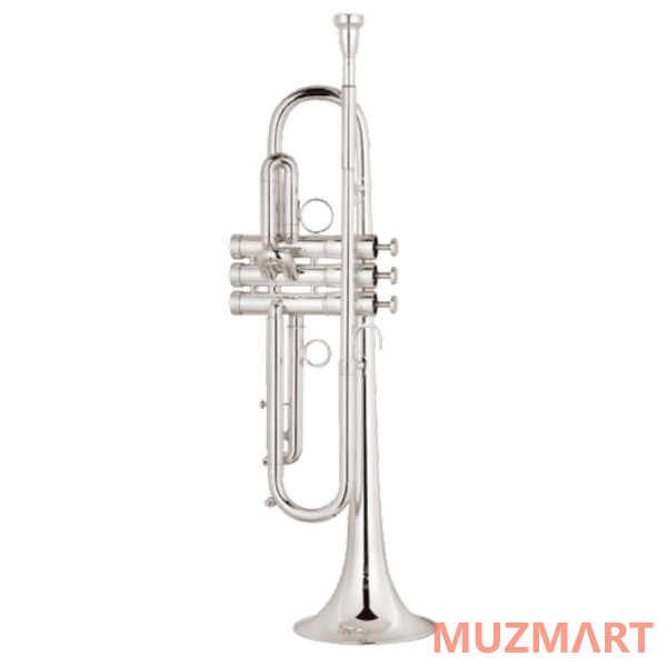 Gebr.Stolze TR-108S Помпы-мельхиор
