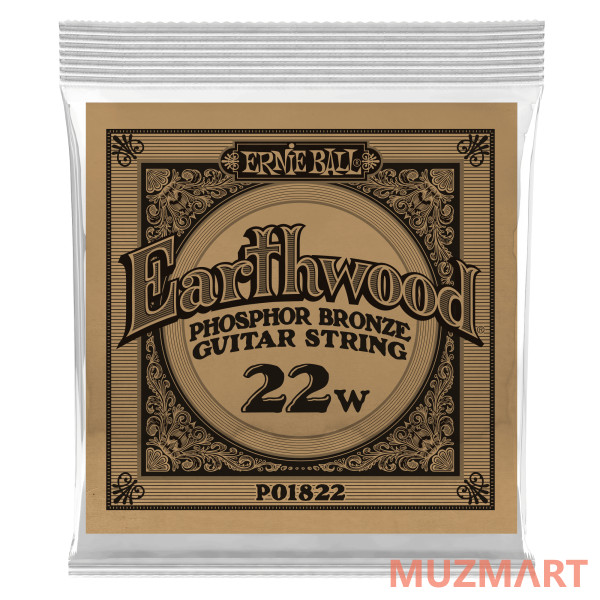 Ernie Ball P01822 Одиночная струна для акустической гитары