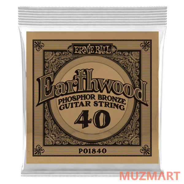 Ernie Ball P01840 Одиночная струна для акустической гитары
