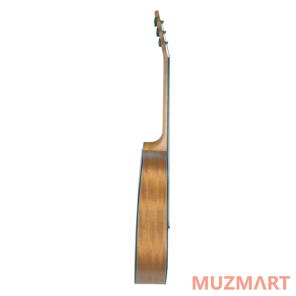 Beaumont DG142C Акустическая гитара