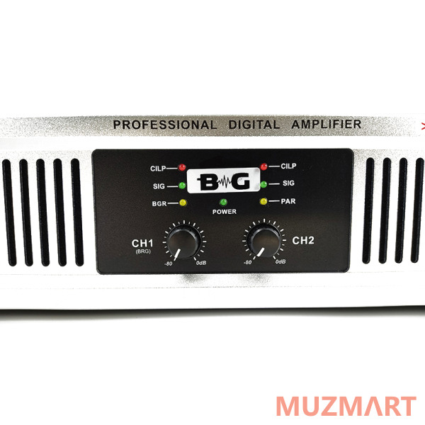 BG D1302 Усилитель мощности