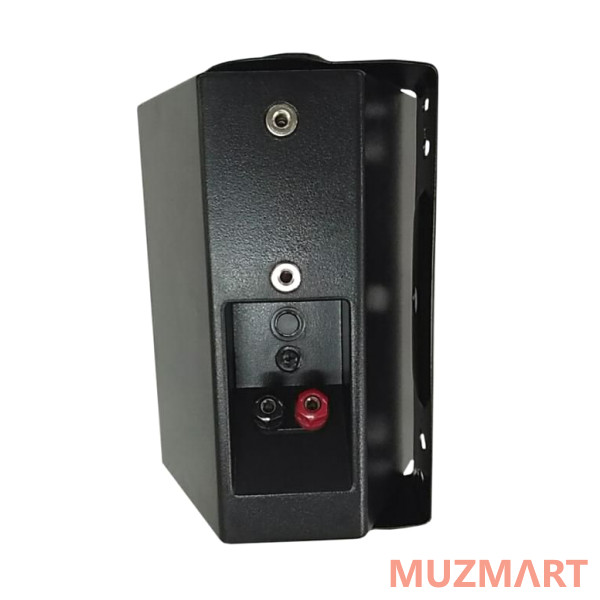 CMX Audio WSK-420CS Громкоговоритель настенный