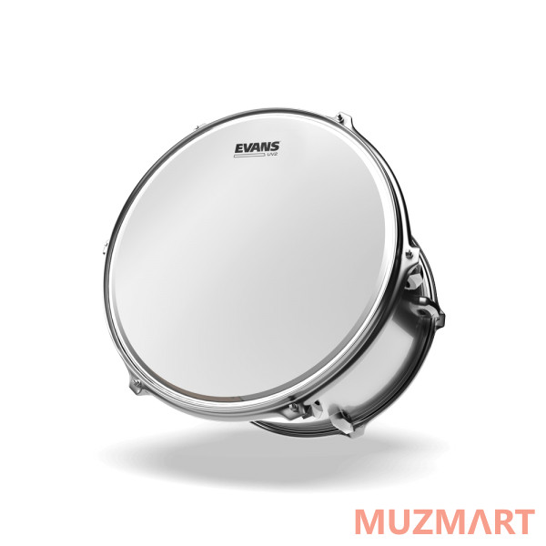 Evans B14UV2 14" двухслойный пластик с покрытием