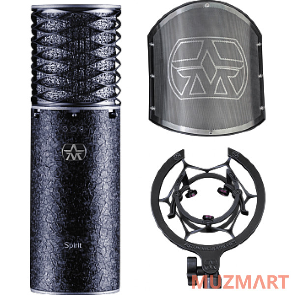 Aston Microphones SPIRIT BLACK BUNDLE cтудийный конденсаторный микрофон