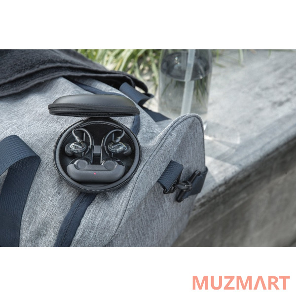 Shure SE21DYBK+TW2-EFS Внутриканальные беспроводные наушники
