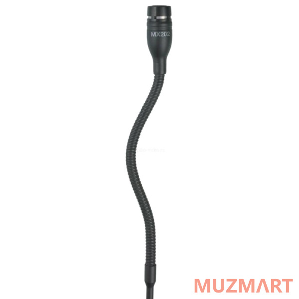 Shure MX202BP/N Подвесной театрально-хоровой микрофон