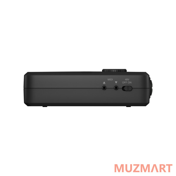 IK Multimedia iRig-PROIO Аудио и MIDI-интерфейс для мобильных