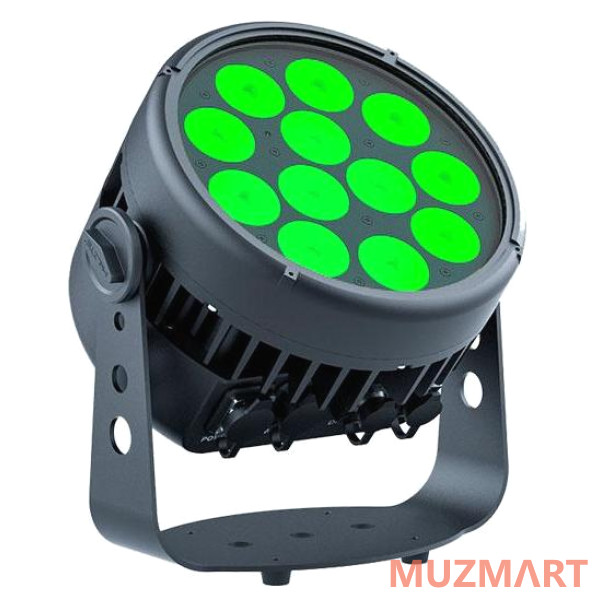 Stage4 REPAR 12x10FAU IP Светодиодный всепогодный светильник