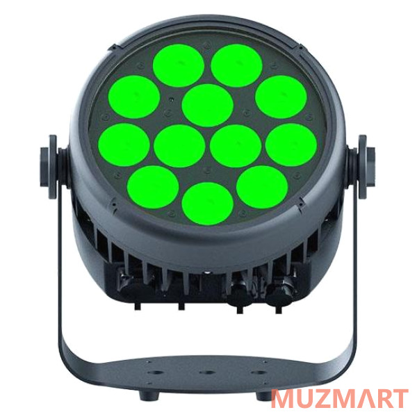 Stage4 REPAR 12x10FAU IP Светодиодный всепогодный светильник