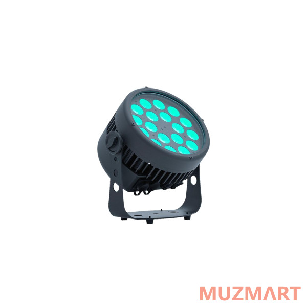 Stage4 REPAR 18x10FAU IP Светодиодный всепогодный светильник