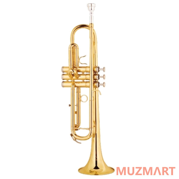 Gebr.Stolze TR-100G Труба Bb