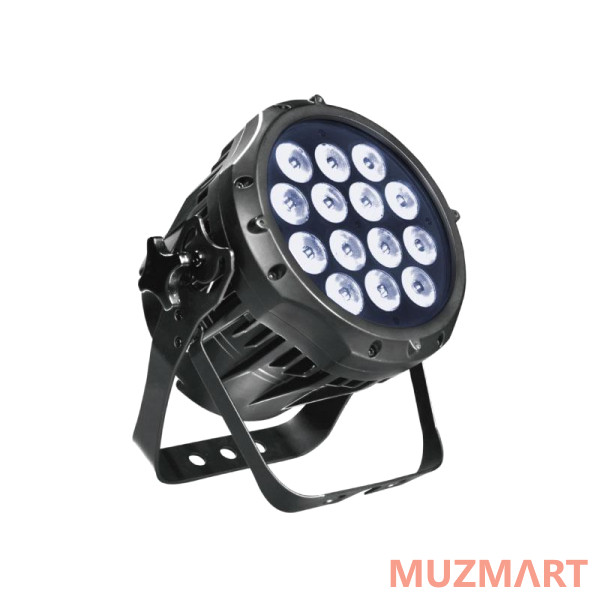 Silver Star SS358XCEM CAM 3/EMZ Светодиодный архитектурно/студийный светильник