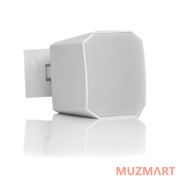 АМС VIVA 3 White (RAL 9016) Настенный громкоговоритель в корпусе