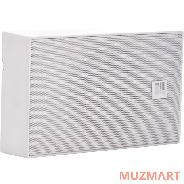 АМС iSpeak 5 White (RAL9016) Громкоговоритель настенный