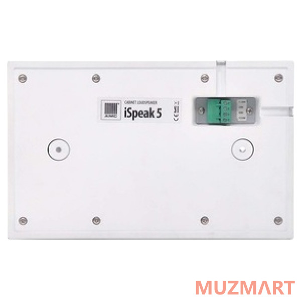 АМС iSpeak 5 White (RAL9016) Громкоговоритель настенный