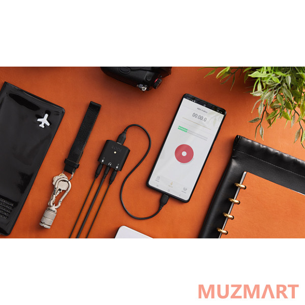 RODE SC22 Высококачественный кабель USB-C - USB-C, длина 30 см