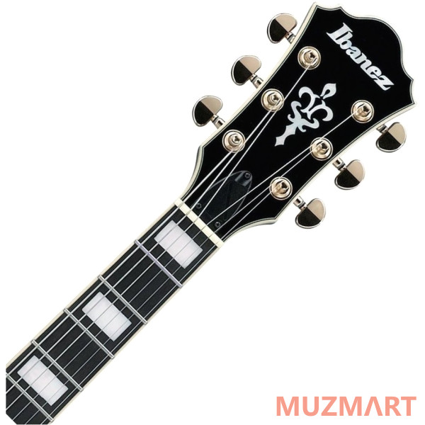 Ibanez AG95QA-DBS Полуакустическая электрогитара