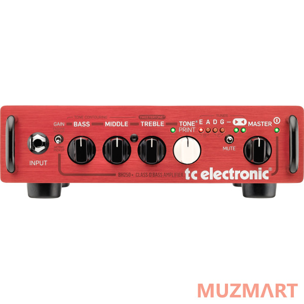 TC Electronic BH250 басовый усилитель 250 Вт