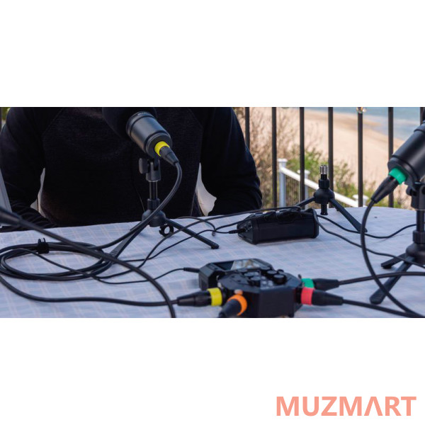Zoom XLR-4C/CP Набор из четырех микрофонных кабелей