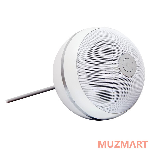 SVS Audiotechnik BWS-603 Громкоговоритель подвесной
