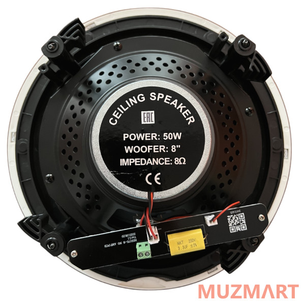 SVS Audiotechnik SCP-50 BT Активный акустический потолочный комплект
