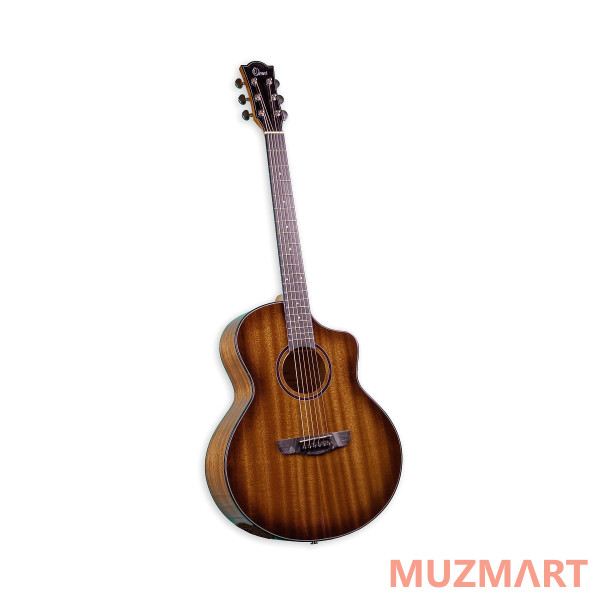 Omni SCE-12 B1G RT Электроакустическая гитара