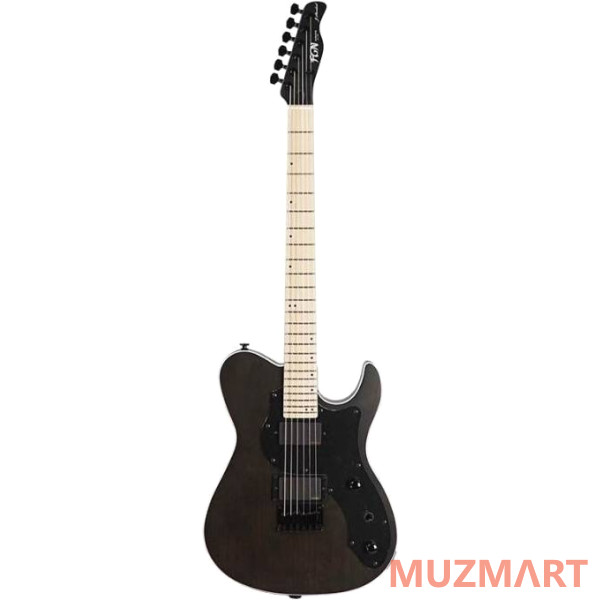FGN J-Standard Iliad Dark Evolution JIL-DE664-ASHM TBF Электрогитара