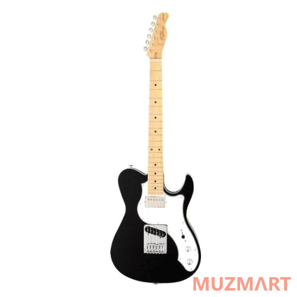 FGN J-Standard Iliad JIL-ASH-MH BK Электрогитара