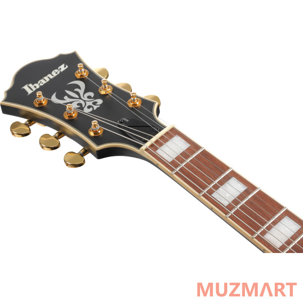 Ibanez AF75G-BKF Полуакустическая гитара