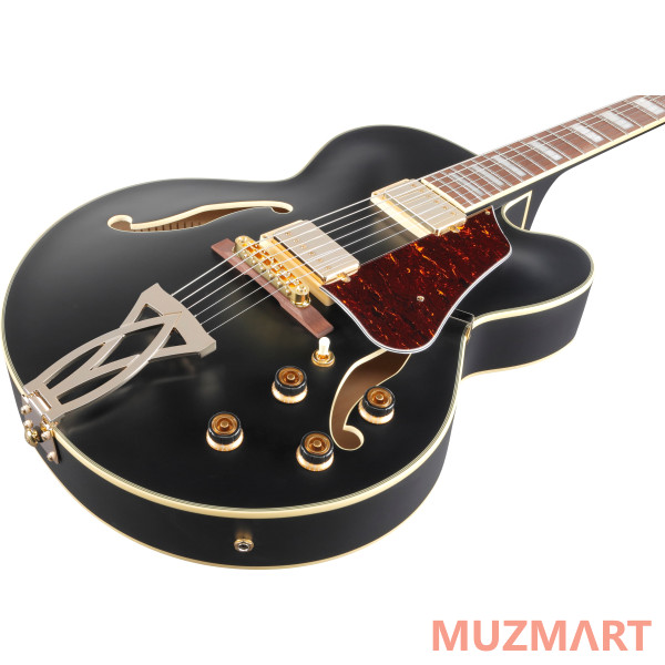 Ibanez AF75G-BKF Полуакустическая гитара