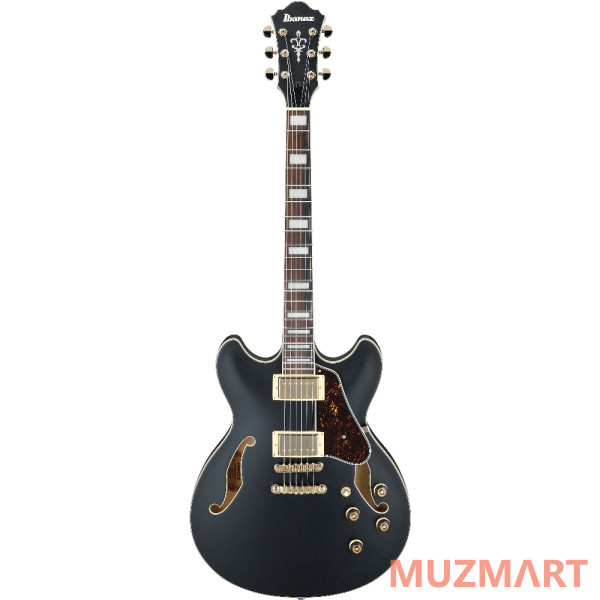 Ibanez AS73G-BKF Полуакустическая гитара