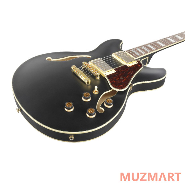 Ibanez AS73G-BKF Полуакустическая гитара