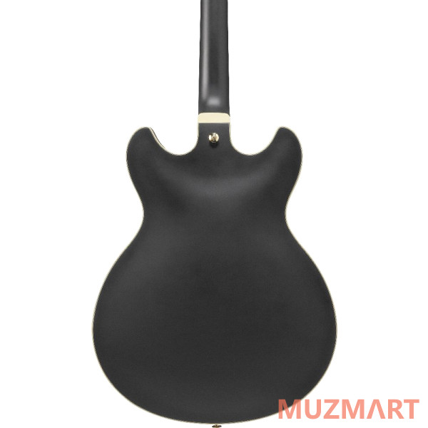 Ibanez AS73G-BKF Полуакустическая гитара