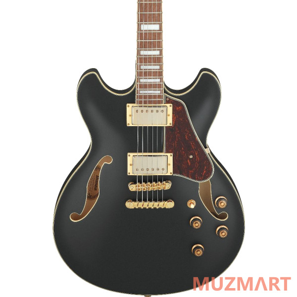 Ibanez AS73G-BKF Полуакустическая гитара