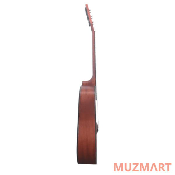 AIERSI SG02SM-40 Акустическая гитара