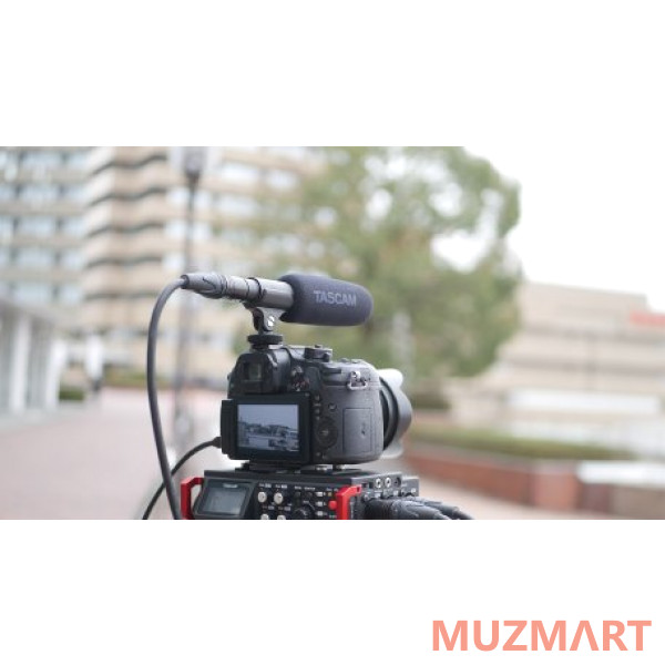 Tascam TM-200SG Конденсаторный микрофон-пушка для видеографов