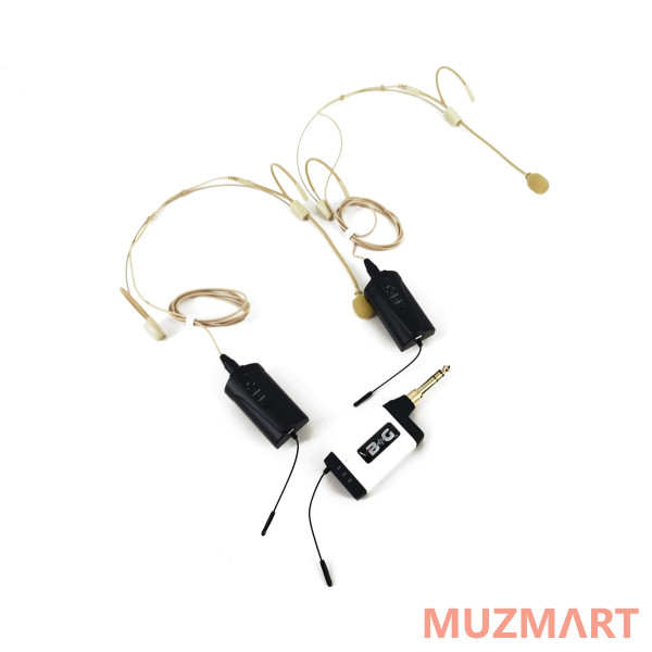BG Q2H1 Радиосистема головная UHF 660-690 MHz