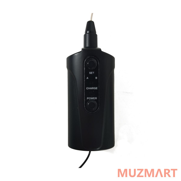 BG Q2H1 Радиосистема головная UHF 660-690 MHz