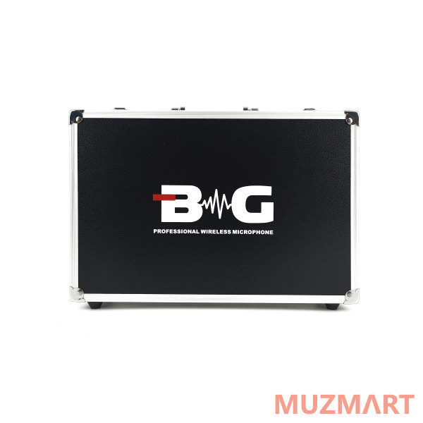 BG Q2H1 Радиосистема головная UHF 660-690 MHz