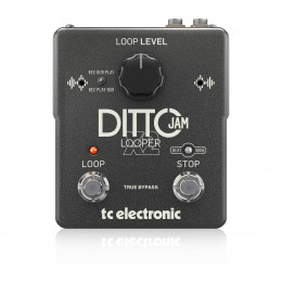 TC Electronic DITTO JAM X2 LOOPER Интуитивный лупер с технологией BeatSense
