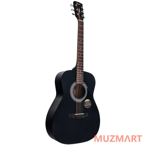 Cort AF 510 BKS W_BAG Акустическая гитара с чехлом