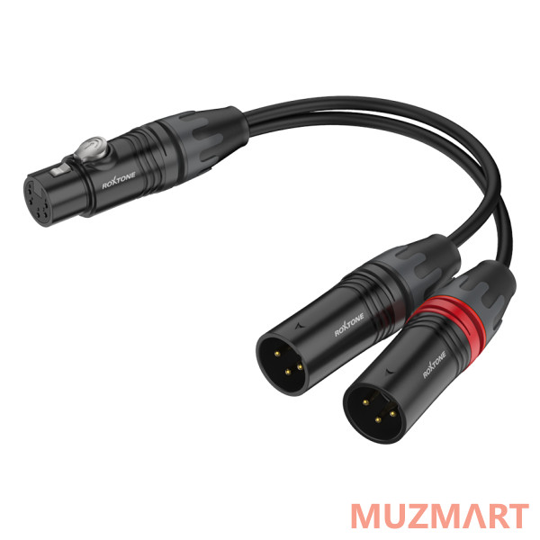 Roxtone RA3DT-X5MXF Пассивный директ-бокс